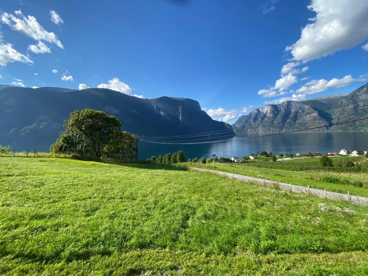 Winjum Hostel Stegastein Aurland Extérieur photo